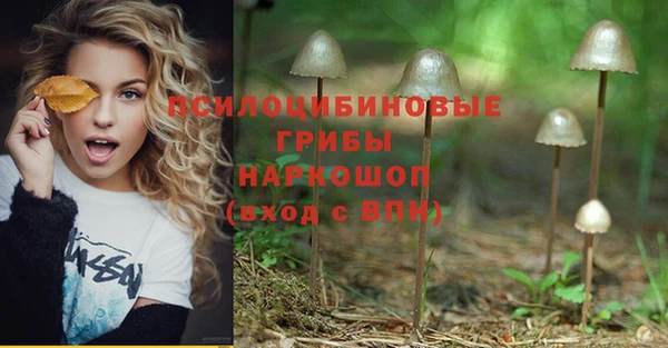 амф Алексин